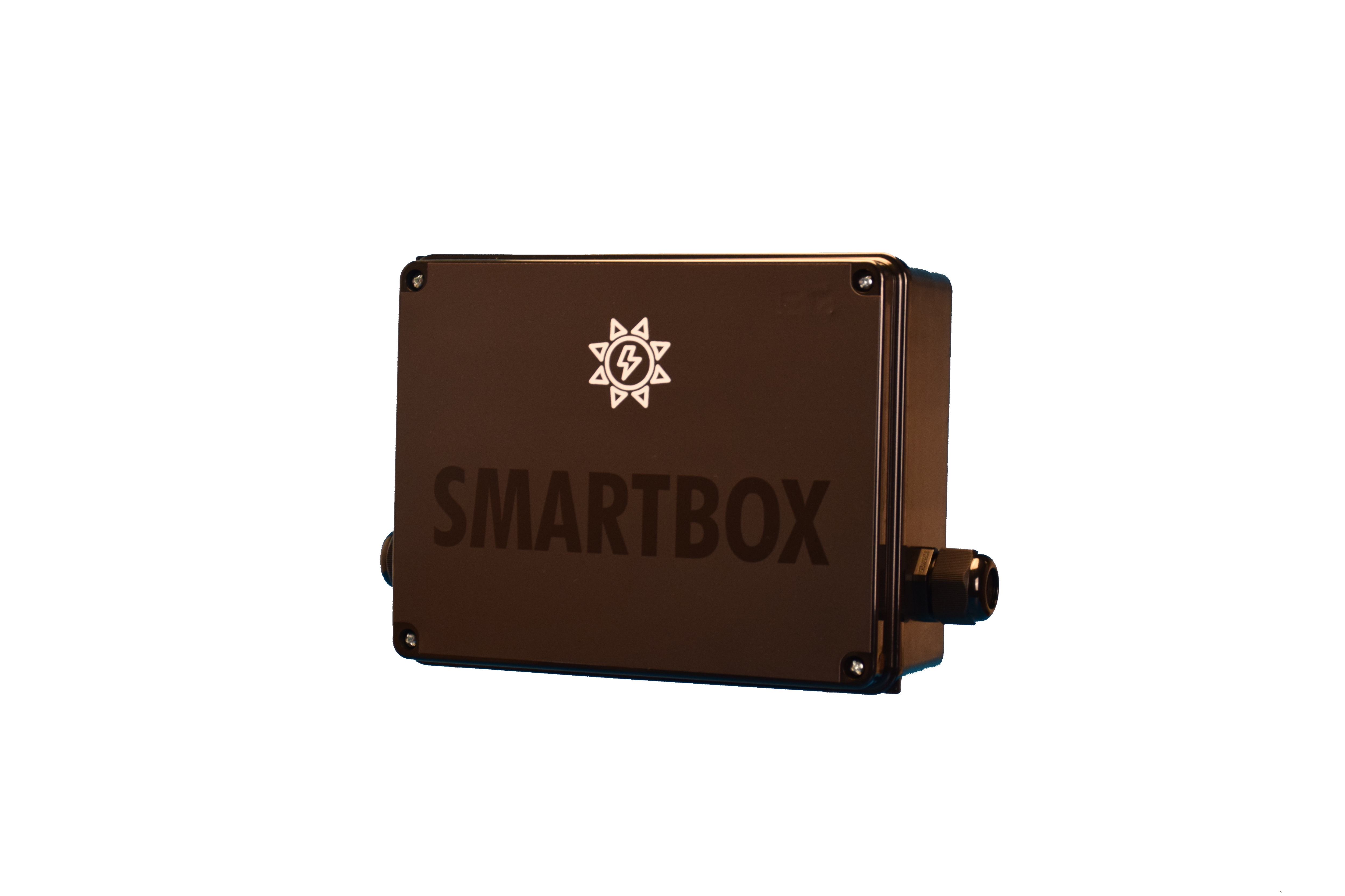 Smartbox - Macht Ihre "dumme" Wallbox intelligent -